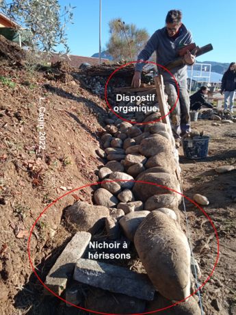 Figure 26