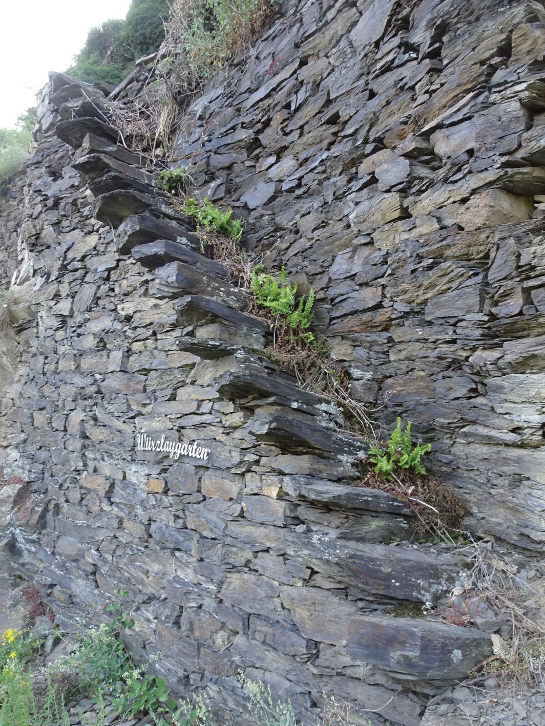 Figure 18